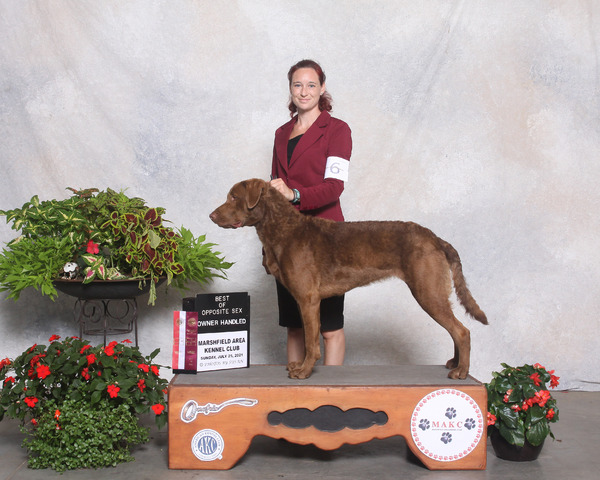 Ash July 2021 best of breed owner handled.