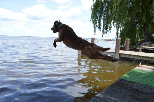 Ash jumping off the dock.